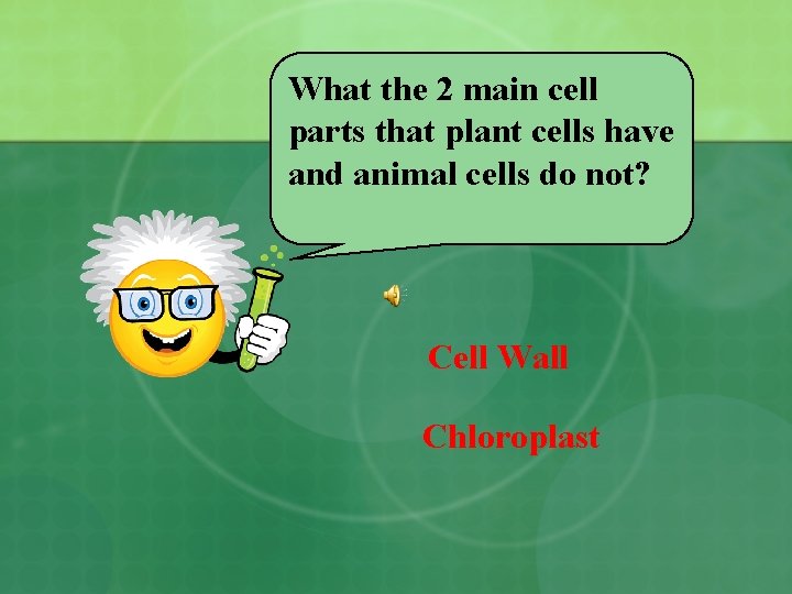What the 2 main cell parts that plant cells have and animal cells do
