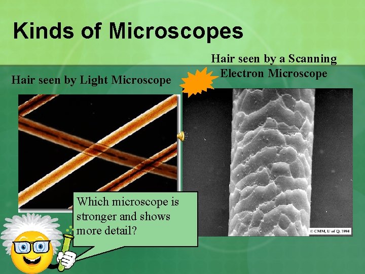 Kinds of Microscopes Hair seen by Light Microscope Which microscope is stronger and shows