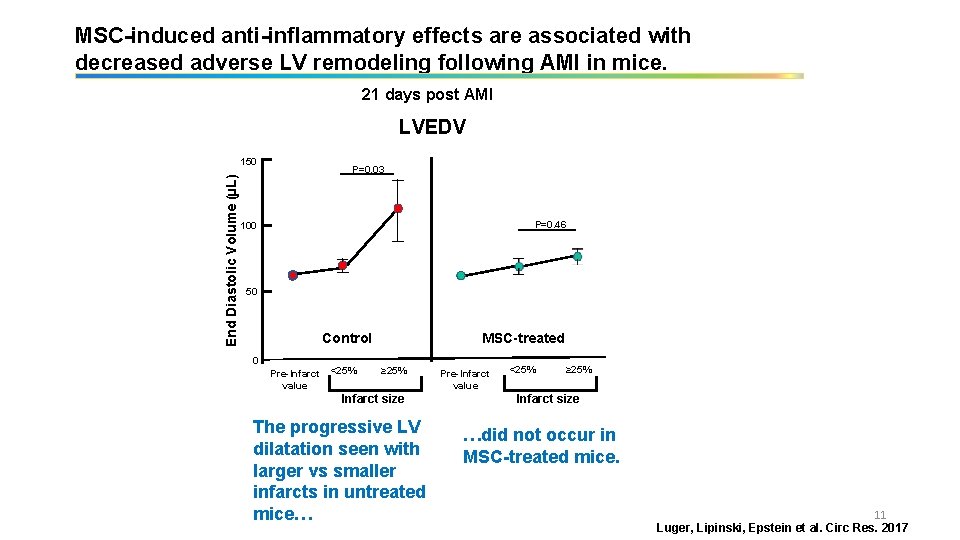 MSC-induced anti-inflammatory effects are associated with decreased adverse LV remodeling following AMI in mice.