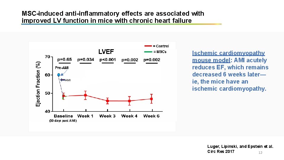 MSC-induced anti-inflammatory effects are associated with improved LV function in mice with chronic heart