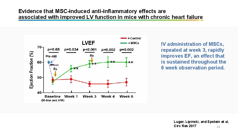 Evidence that MSC-induced anti-inflammatory effects are associated with improved LV function in mice with