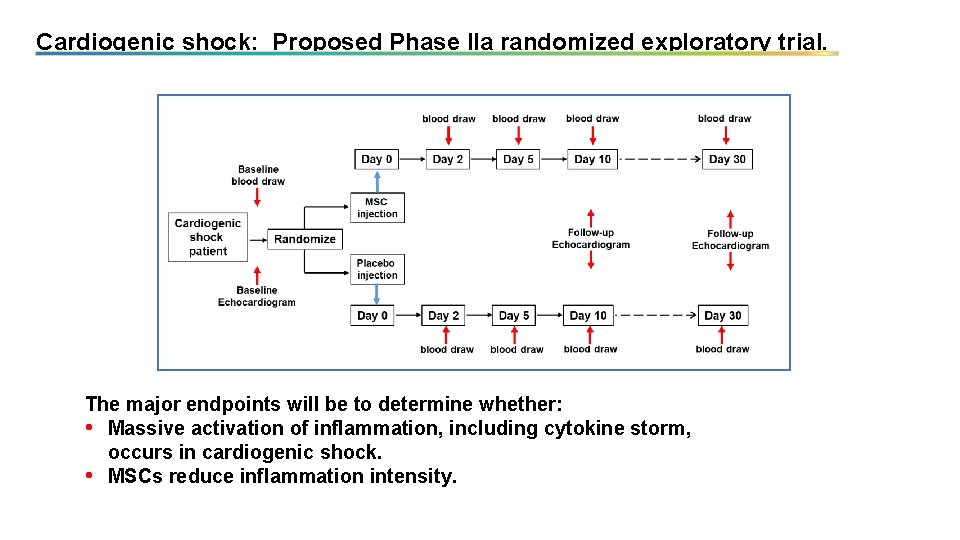 Cardiogenic shock: Proposed Phase IIa randomized exploratory trial. The major endpoints will be to