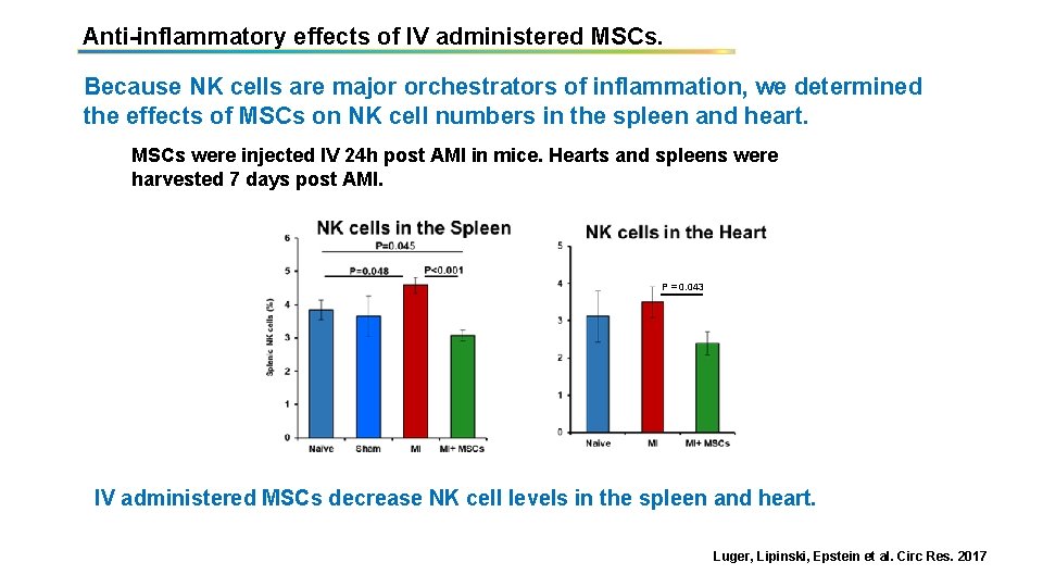 Anti-inflammatory effects of IV administered MSCs. Because NK cells are major orchestrators of inflammation,