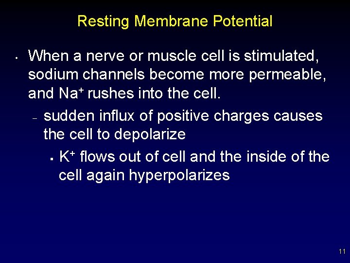 Resting Membrane Potential • When a nerve or muscle cell is stimulated, sodium channels