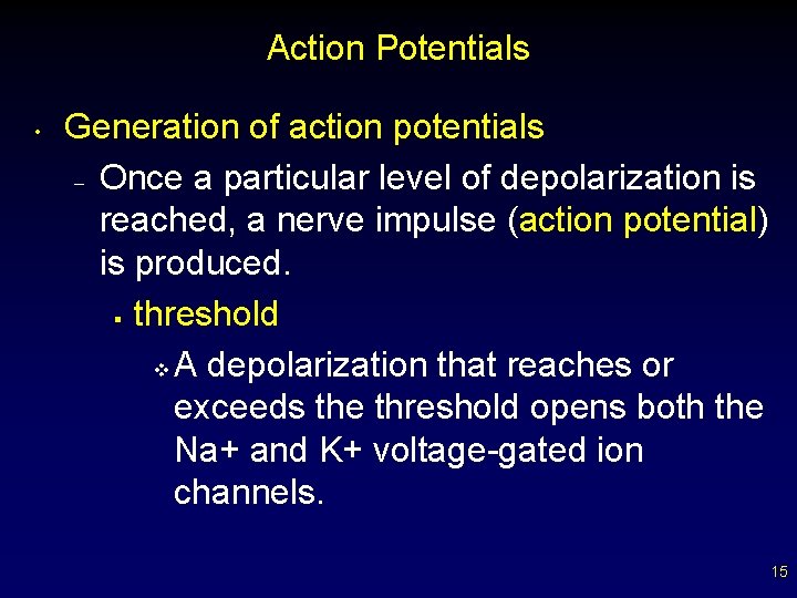 Action Potentials • Generation of action potentials – Once a particular level of depolarization