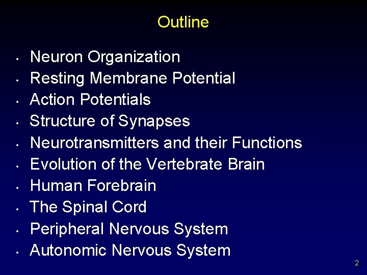 Outline • • • Neuron Organization Resting Membrane Potential Action Potentials Structure of Synapses