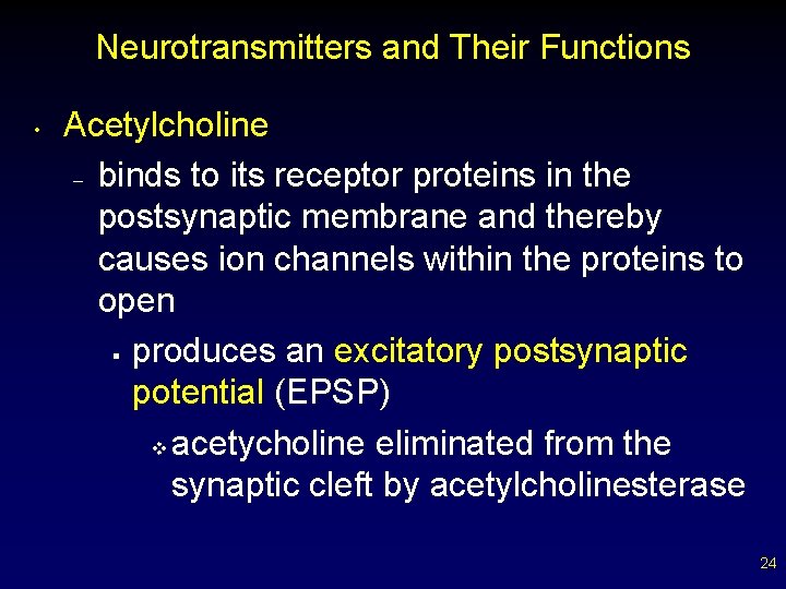 Neurotransmitters and Their Functions • Acetylcholine – binds to its receptor proteins in the