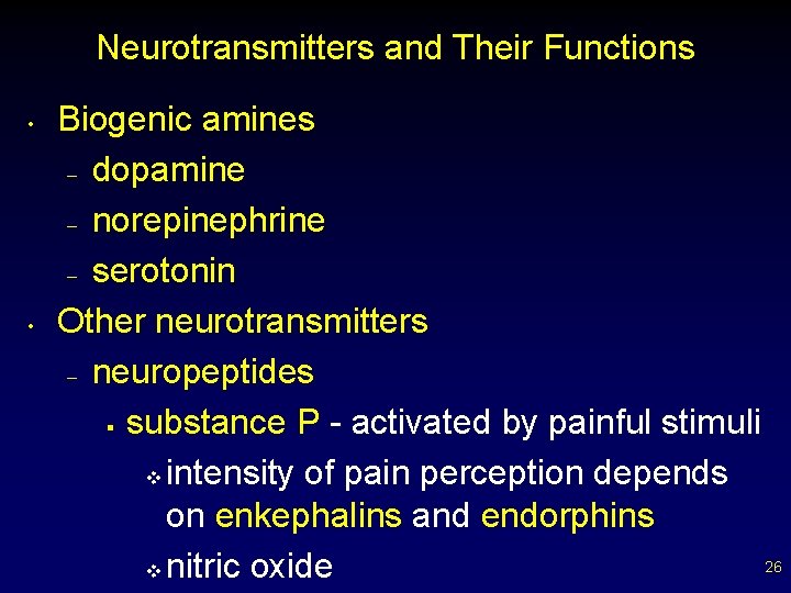 Neurotransmitters and Their Functions • • Biogenic amines – dopamine – norepinephrine – serotonin
