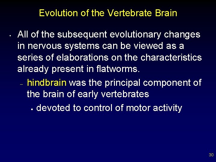 Evolution of the Vertebrate Brain • All of the subsequent evolutionary changes in nervous