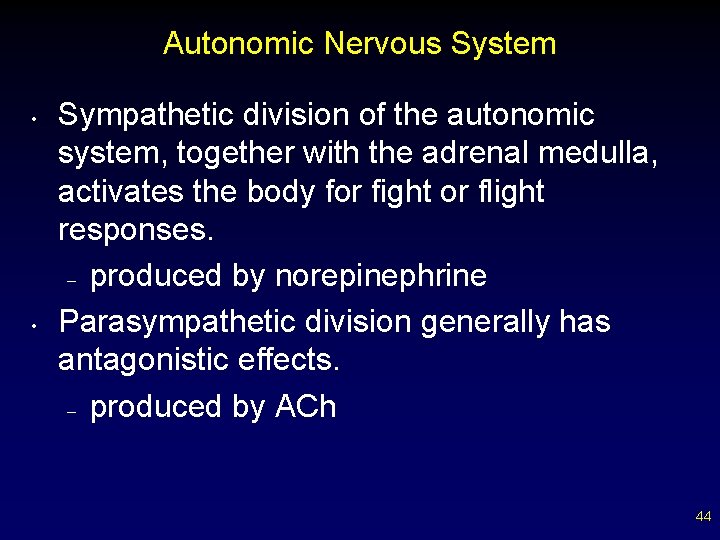 Autonomic Nervous System • • Sympathetic division of the autonomic system, together with the