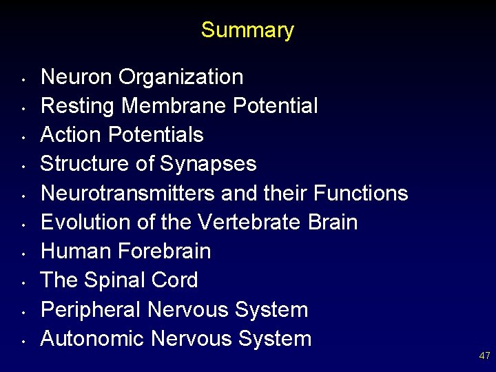 Summary • • • Neuron Organization Resting Membrane Potential Action Potentials Structure of Synapses