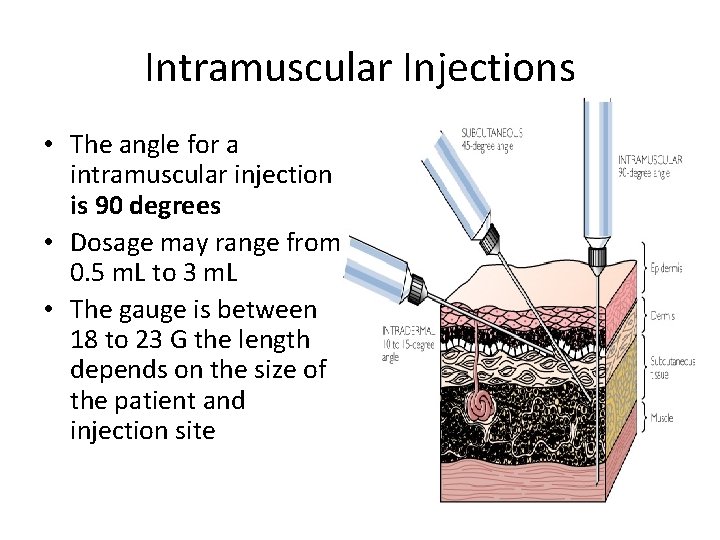 Intramuscular Injections • The angle for a intramuscular injection is 90 degrees • Dosage
