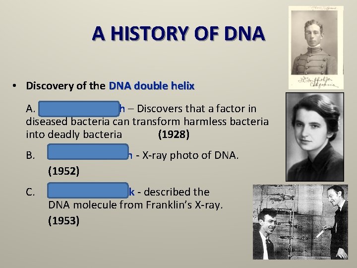 A HISTORY OF DNA • Discovery of the DNA double helix A. Frederick Griffith