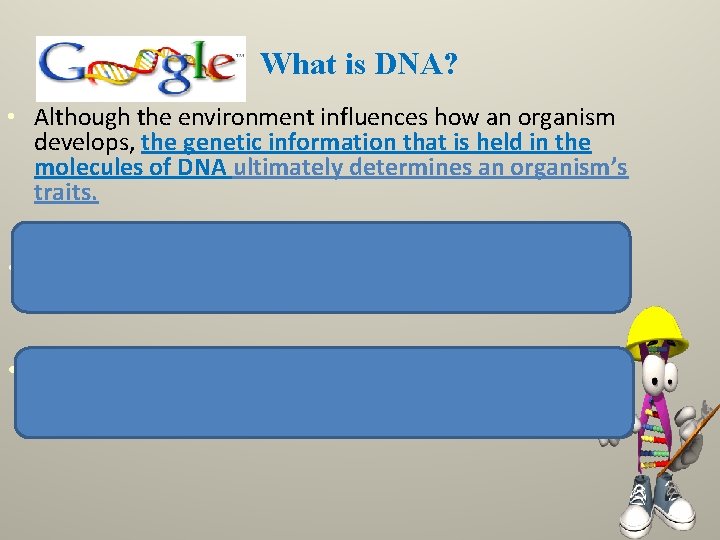 What is DNA? • Although the environment influences how an organism develops, the genetic