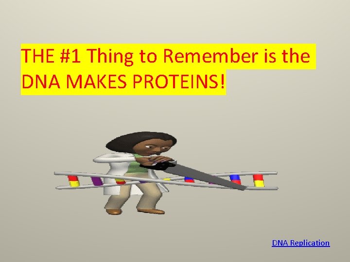 THE #1 Thing to Remember is the DNA MAKES PROTEINS! DNA Replication 