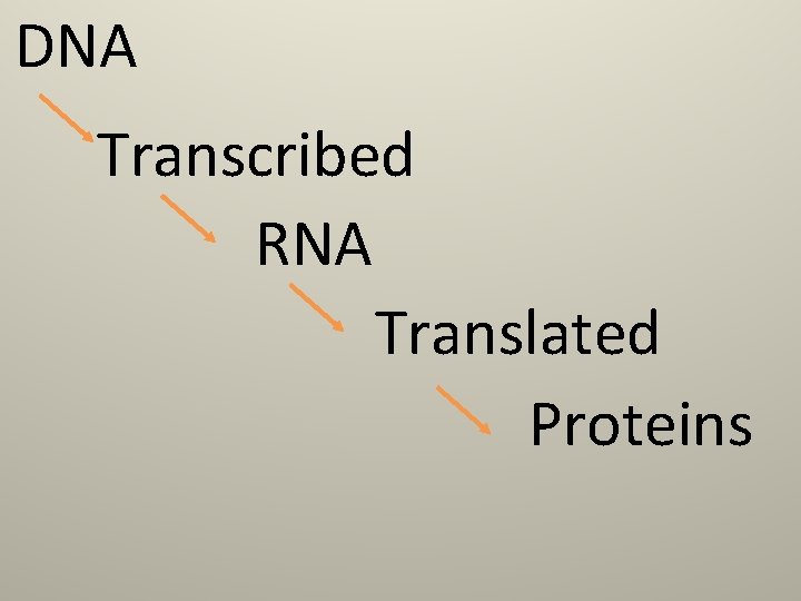 DNA Transcribed RNA Translated Proteins 