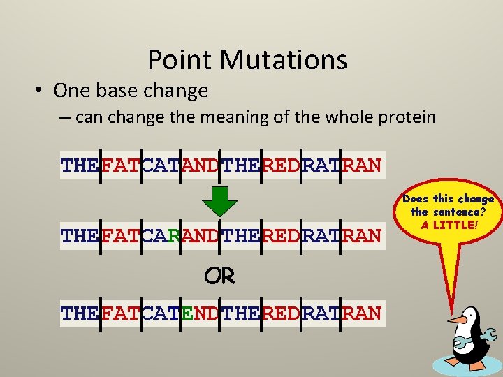 Point Mutations • One base change – can change the meaning of the whole