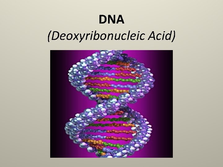 DNA (Deoxyribonucleic Acid) 