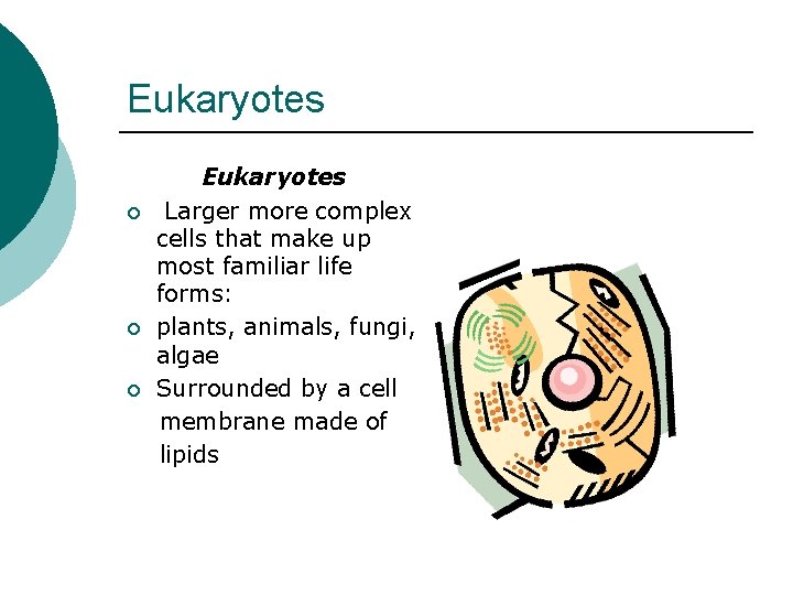 Eukaryotes ¡ ¡ ¡ Eukaryotes Larger more complex cells that make up most familiar