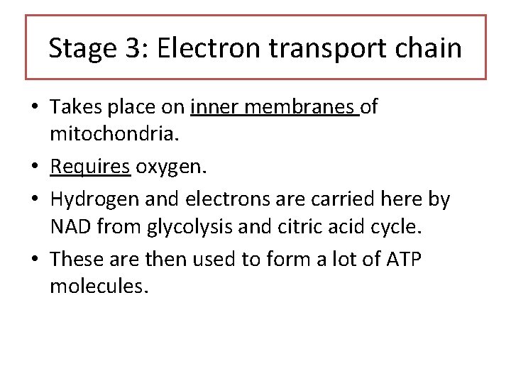 Stage 3: Electron transport chain • Takes place on inner membranes of mitochondria. •