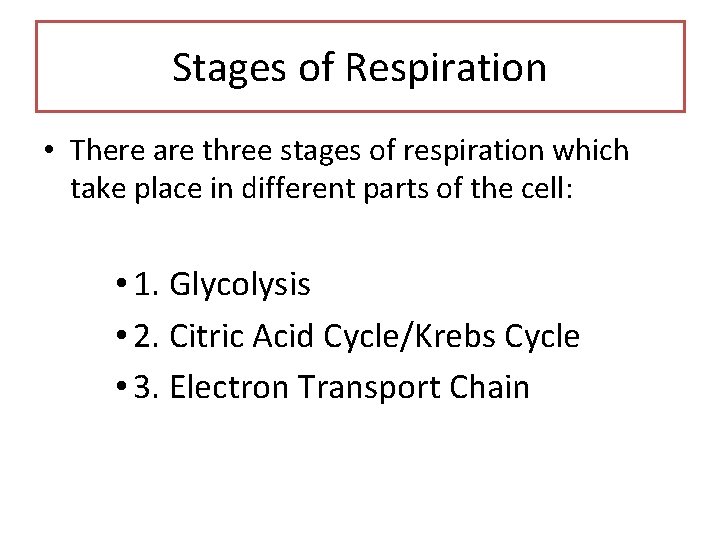 Stages of Respiration • There are three stages of respiration which take place in