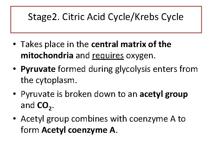 Stage 2. Citric Acid Cycle/Krebs Cycle • Takes place in the central matrix of