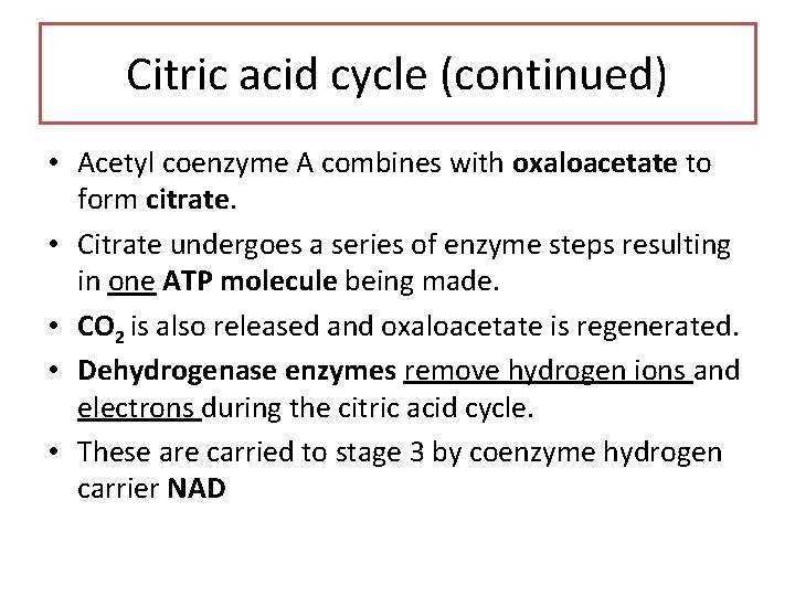 Citric acid cycle (continued) • Acetyl coenzyme A combines with oxaloacetate to form citrate.