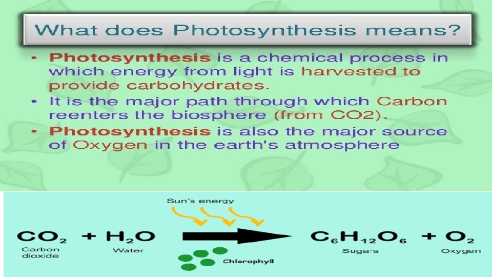 photosynthesis: 