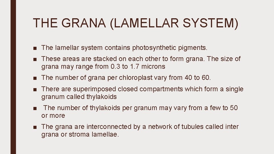 THE GRANA (LAMELLAR SYSTEM) ■ The lamellar system contains photosynthetic pigments. ■ These areas