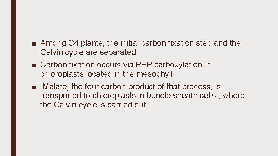 ■ Among C 4 plants, the initial carbon fixation step and the Calvin cycle