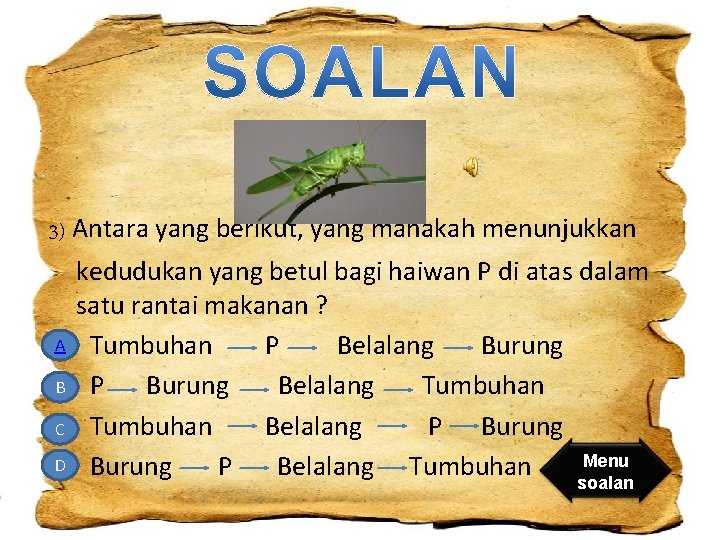 3) Antara yang berikut, yang manakah menunjukkan kedudukan yang betul bagi haiwan P di