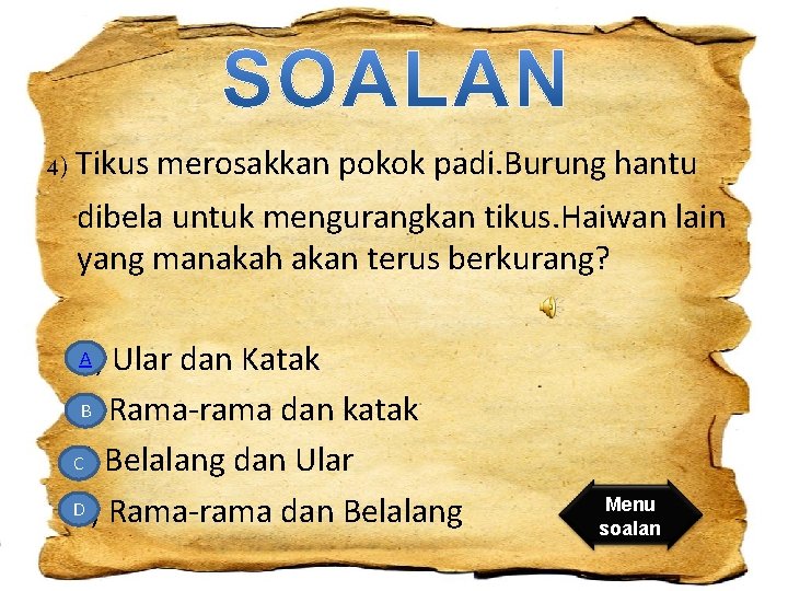 4) Tikus merosakkan pokok padi. Burung hantu dibela untuk mengurangkan tikus. Haiwan lain yang