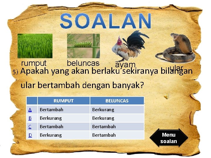 rumput beluncas ayam ular 5) Apakah yang akan berlaku sekiranya bilangan ular bertambah dengan