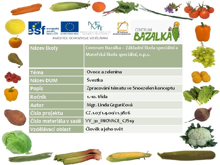 Název školy Centrum Bazalka – Základní škola speciální a Mateřská škola speciální, o. p.