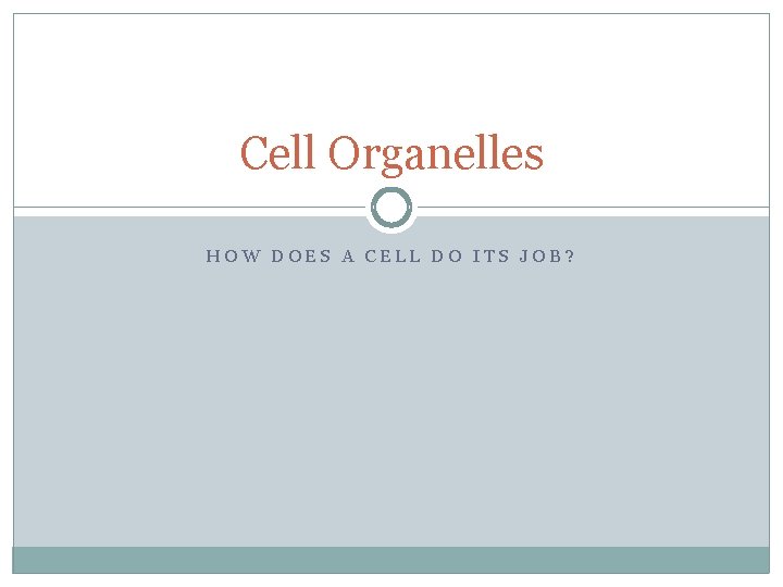Cell Organelles HOW DOES A CELL DO ITS JOB? 