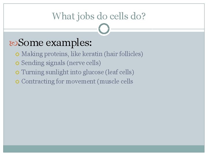 What jobs do cells do? Some examples: Making proteins, like keratin (hair follicles) Sending