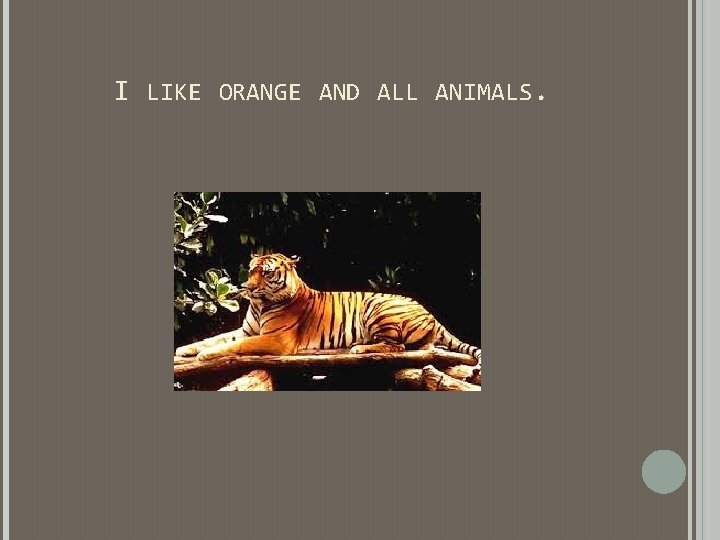 I LIKE ORANGE AND ALL ANIMALS. I LIKE ORANGE AND ALL ANIMALS.