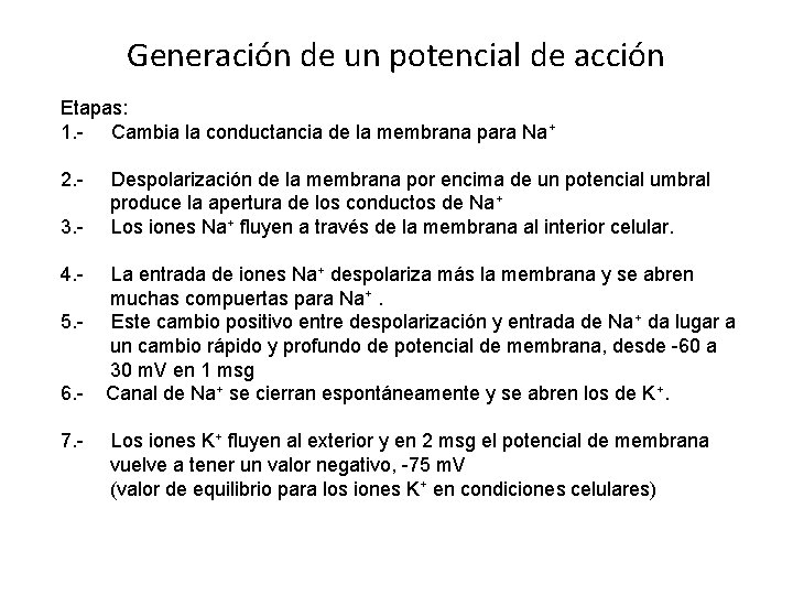 Generación de un potencial de acción Etapas: 1. - Cambia la conductancia de la