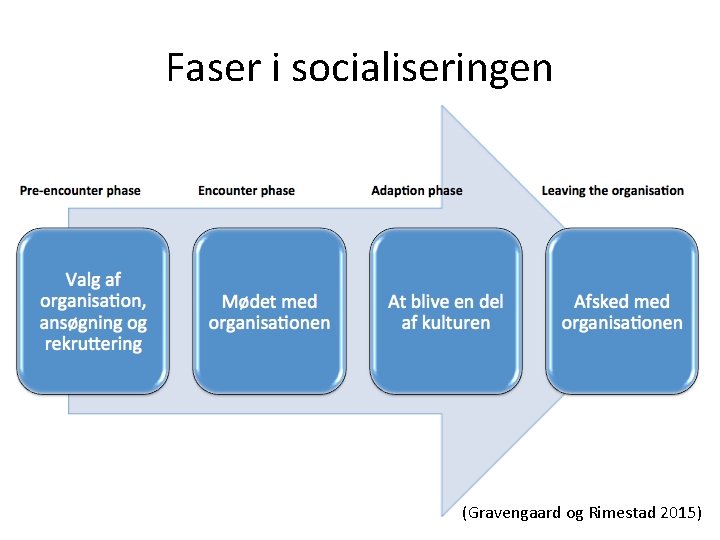 Faser i socialiseringen (Gravengaard og Rimestad 2015) 