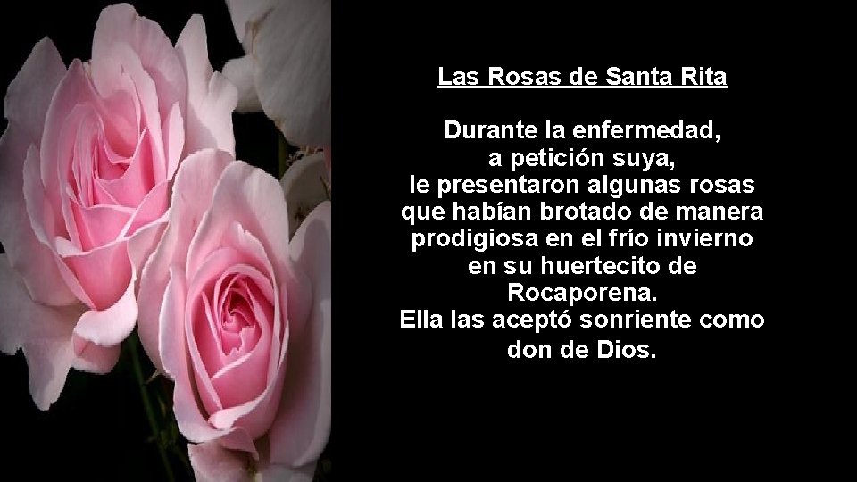 Las Rosas de Santa Rita Durante la enfermedad, a petición suya, le presentaron algunas