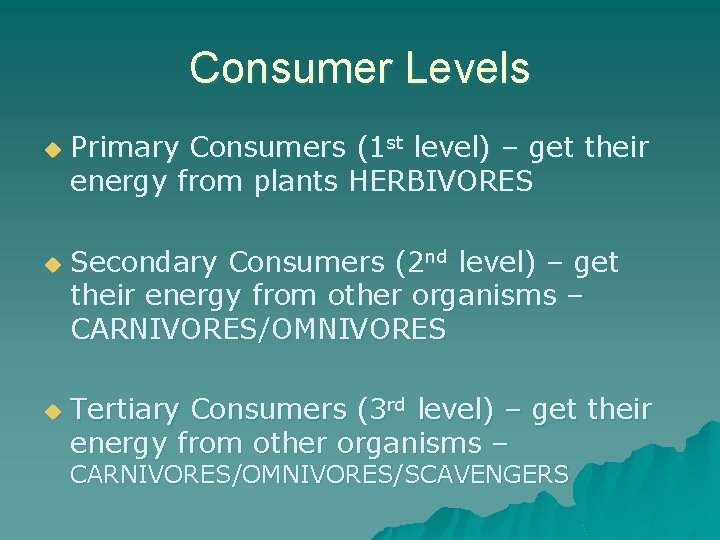 Consumer Levels u u u Primary Consumers (1 st level) – get their energy
