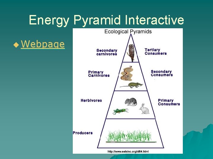 Energy Pyramid Interactive u Webpage 