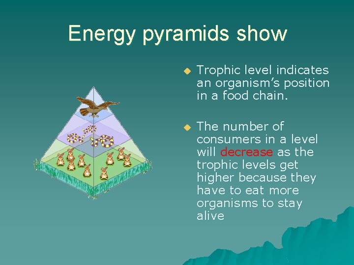 Energy pyramids show u Trophic level indicates an organism’s position in a food chain.