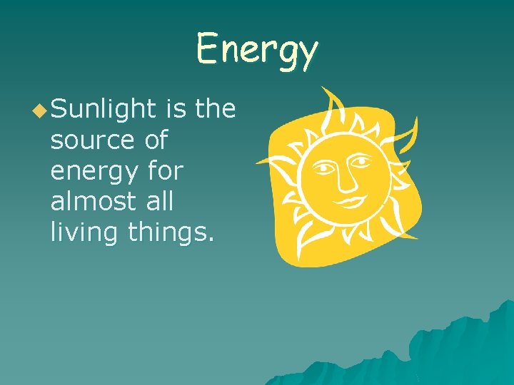 Energy u Sunlight is the source of energy for almost all living things. 