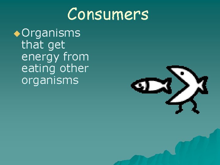 Consumers u Organisms that get energy from eating other organisms 