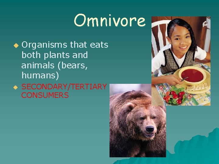 Omnivore u u Organisms that eats both plants and animals (bears, humans) SECONDARY/TERTIARY CONSUMERS