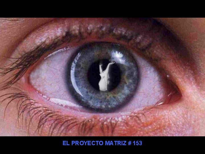 EL PROYECTO MATRIZ # 153 