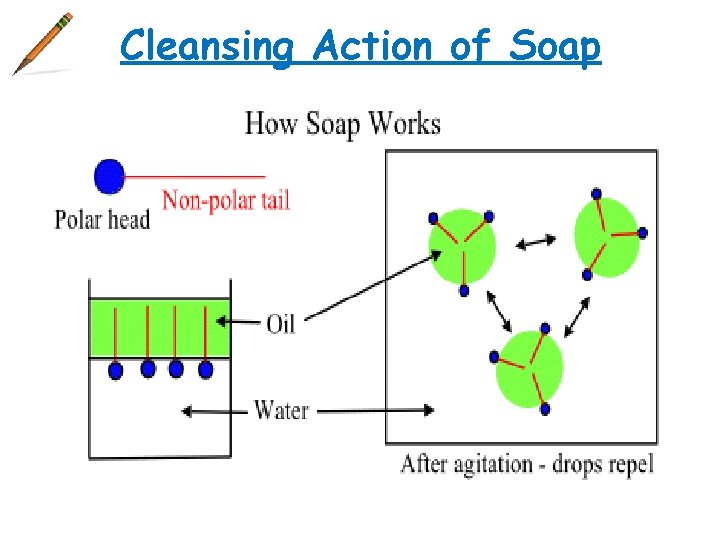 Cleansing Action of Soap 