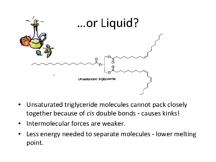 …or Liquid? • Unsaturated triglyceride molecules cannot pack closely together because of cis double