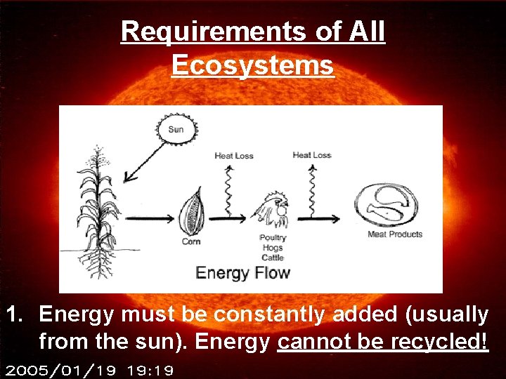 Requirements of All Ecosystems 1. Energy must be constantly added (usually from the sun). Requirements of All Ecosystems 1. Energy must be constantly added (usually from the sun).